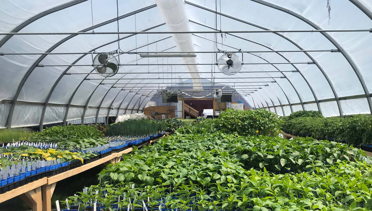 Slow Grow Farms様 Root Vegetables – Slow Roots Farm