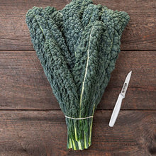  Tuscan Kale