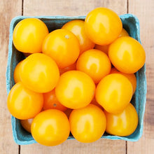  Cherry Tomato- Yellow
