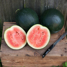  Watermelon