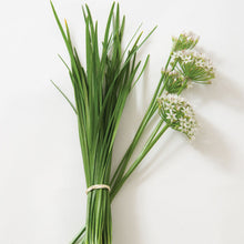  Garlic Chives