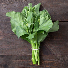  Chinese Sprouting Brocolli