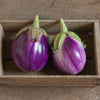 Eggplant (Rosa Bianca)