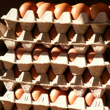  Free-run Farm Fresh Brown Eggs- Dozen