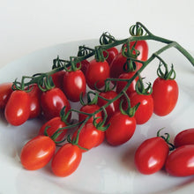  Grape Tomato