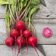  Striped Beets