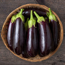  Italian Eggplant