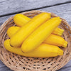 Yellow Zucchini