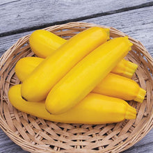  Yellow Zucchini