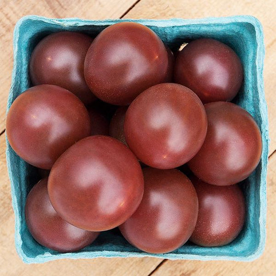 Cherry Tomato- Purple