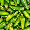 Jalapeno Pepper