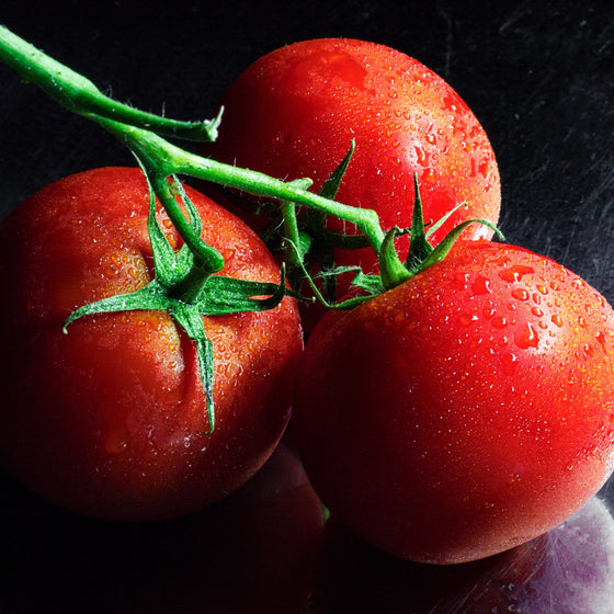 New Girl- Early Midsize Tomato