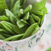 Snow Peas