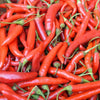 Thai Chili Pepper