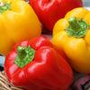 Sweet Pepper Mixed Pack