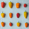 Picnic Pepper