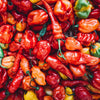 Super Hot Pepper Mixed Pack